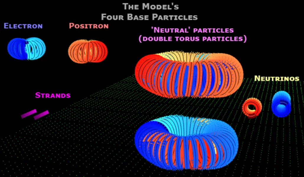 image of the model's four base particles